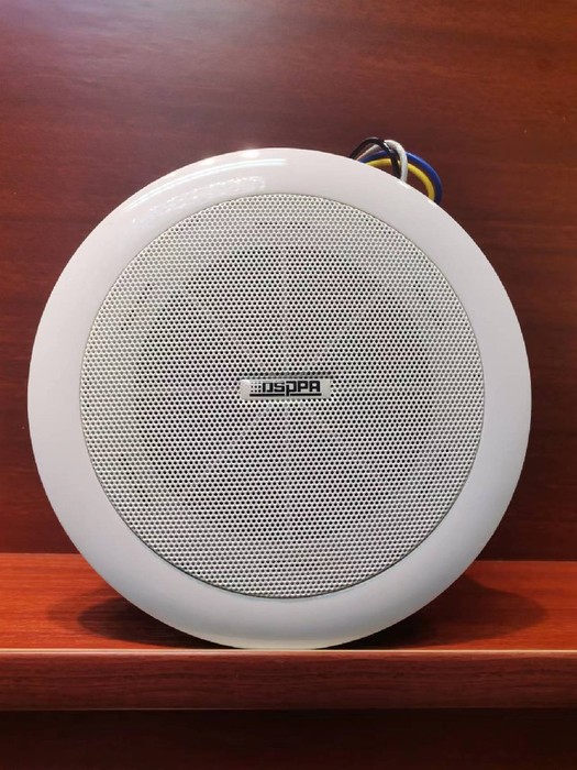 DSPPA 公共广播扬声器