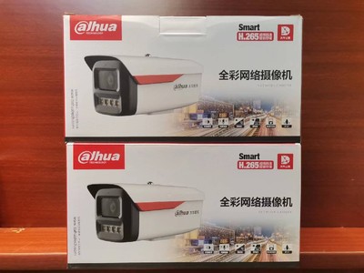 大华 全彩网络摄像机